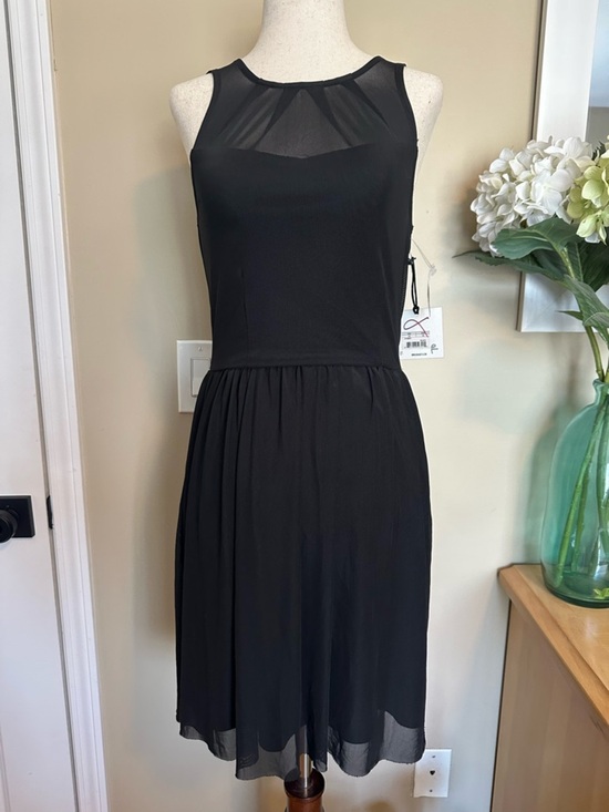 Jack by BB Dakota Dresses & Skirts - NWT Jack by BB Dakota Women's Eva Mesh Layer Pleated Sleeveless Black Dress XS